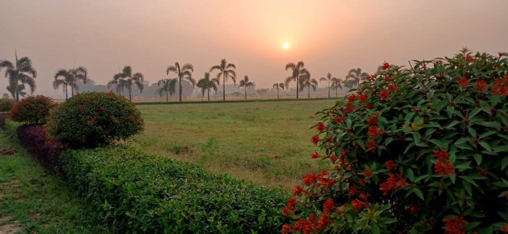 प्राक्रति